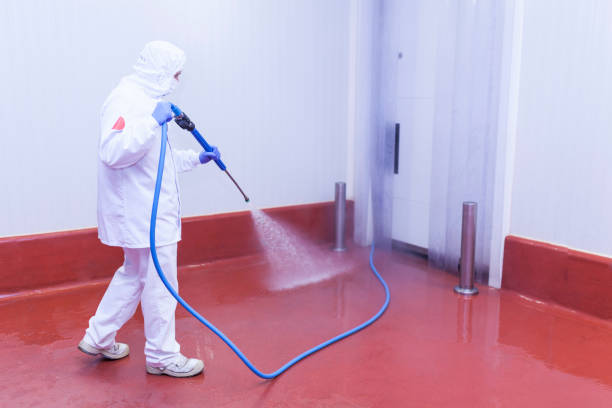 Best Pre-Holiday Cleaning  in Rollingwood, TX